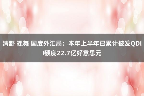 清野 裸舞 国度外汇局：本年上半年已累计披发QDII额度22.7亿好意思元