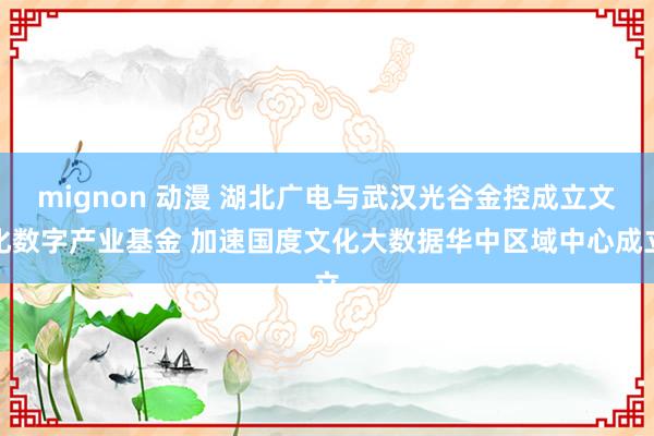 mignon 动漫 湖北广电与武汉光谷金控成立文化数字产业基金 加速国度文化大数据华中区域中心成立