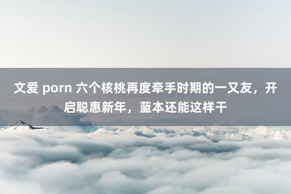 文爱 porn 六个核桃再度牵手时期的一又友，开启聪惠新年，蓝本还能这样干