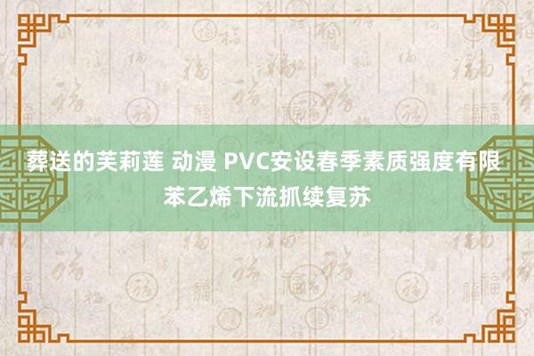 葬送的芙莉莲 动漫 PVC安设春季素质强度有限 苯乙烯下流抓续复苏