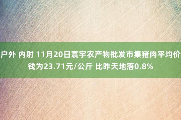 户外 内射 11月20日寰宇农产物批发市集猪肉平均价钱为23.71元/公斤 比昨天地落0.8%