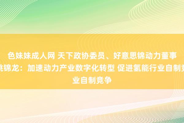 色妹妹成人网 天下政协委员、好意思锦动力董事长姚锦龙：加速动力产业数字化转型 促进氢能行业自制竞争